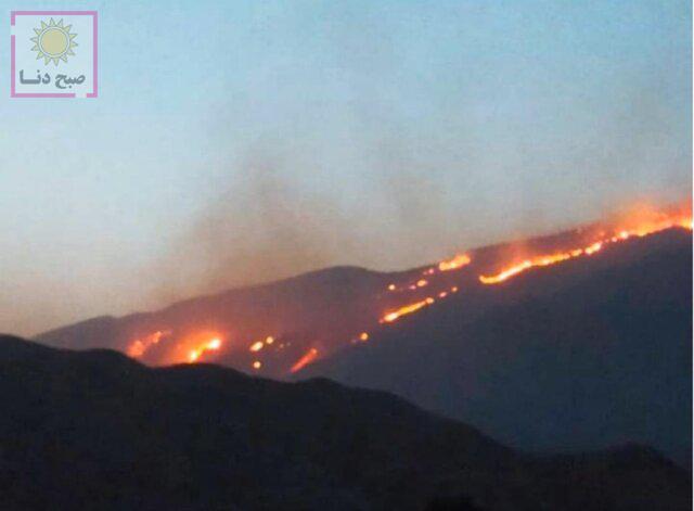 درخواست کمک استاندار کهگیلویه وبویراحمد برای مهار آتش سوزی خائیز/استقرار۸بالگرد برای اطفا حریق