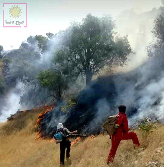 آتش سوزی جنگلهای منطقه حفاظت شده خائیز همچنان ادامه دارد