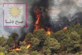 جنگل و مراتع گچساران همچنان در آتش می سوزد
