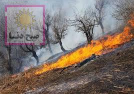 توضیحات استاندار کهگیلویه و بویراحمد در رابطه با آتش سوزی جنگلهای گچساران
