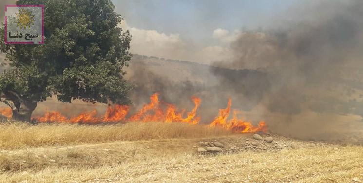 درخواست مدیرکل بحران کهگیلویه و بویراحمد از دستگاه قضا و انتظامی برای شناسایی مسببان آتش سوزی در مزارع و مراتع
