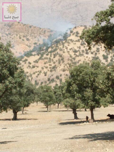 آتش سوزی در جنگل‌های منطقه حفاظت شده دنا