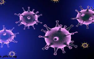 رکورد جدید کرونا در کهگیلویه و بویراحمد/شمار قربانیان ویروس کووید ۱۹ از “۵۰۰” تَن گذشت