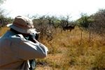 دستگیری شکارچیان غیرمجاز در گچساران
