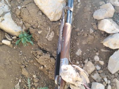 دستگیری متخلف شکار کبک در مناطق آزاد شهرستان دنا
