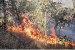 جنگل ها و مراتع منطقه حفاظت شده “خامی” دوباره آتش گرفت