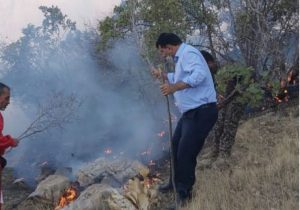 فرماندار گچساران از شعله ور شدن سومین آتش سوزی در منطقه حفاظت شده دیل خبر داد