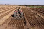 کشت پائیزه در ۲۳ هزار هکتار از اراضی کشاورزی گچساران