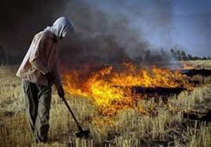 دغدغه محیط زیست این بار از نوع آتش زدن کاه و کلش توسط کشاورزان