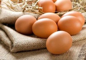 بزرگترین تامین کننده تخم مرغ در آمریکا در آتش سوخت