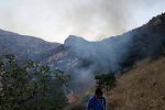 زنگ خطر وقوع آتش سوزی در جنگلها و مراتع کهگیلویه و بویراحمد /کنترل اتش سوزی در منطقه شلالدون باشت