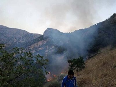 زنگ خطر وقوع آتش سوزی در جنگلها و مراتع کهگیلویه و بویراحمد /کنترل اتش سوزی در منطقه شلالدون باشت